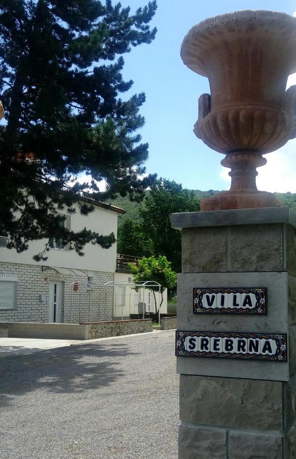 Divaca, Vila Srebrna エクステリア 写真
